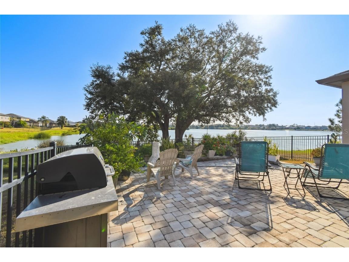 6014 Sweet Birch Drive Riverview FL 33578 TB8450116 image44