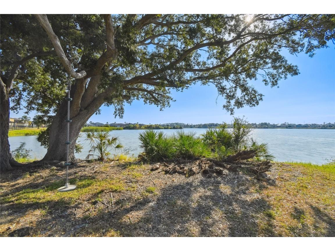 6014 Sweet Birch Drive Riverview FL 33578 TB8450116 image53