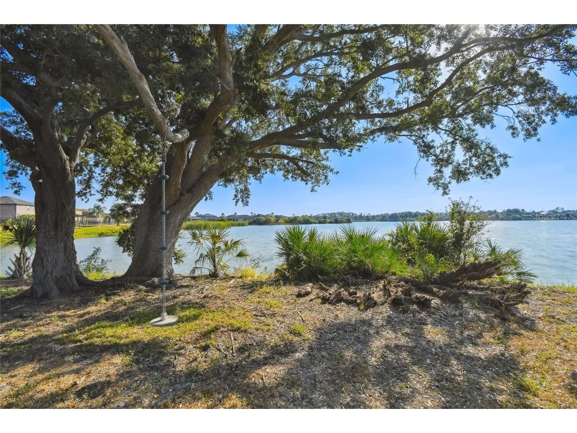 6014 Sweet Birch Drive Riverview FL 33578 TB8450116 image54