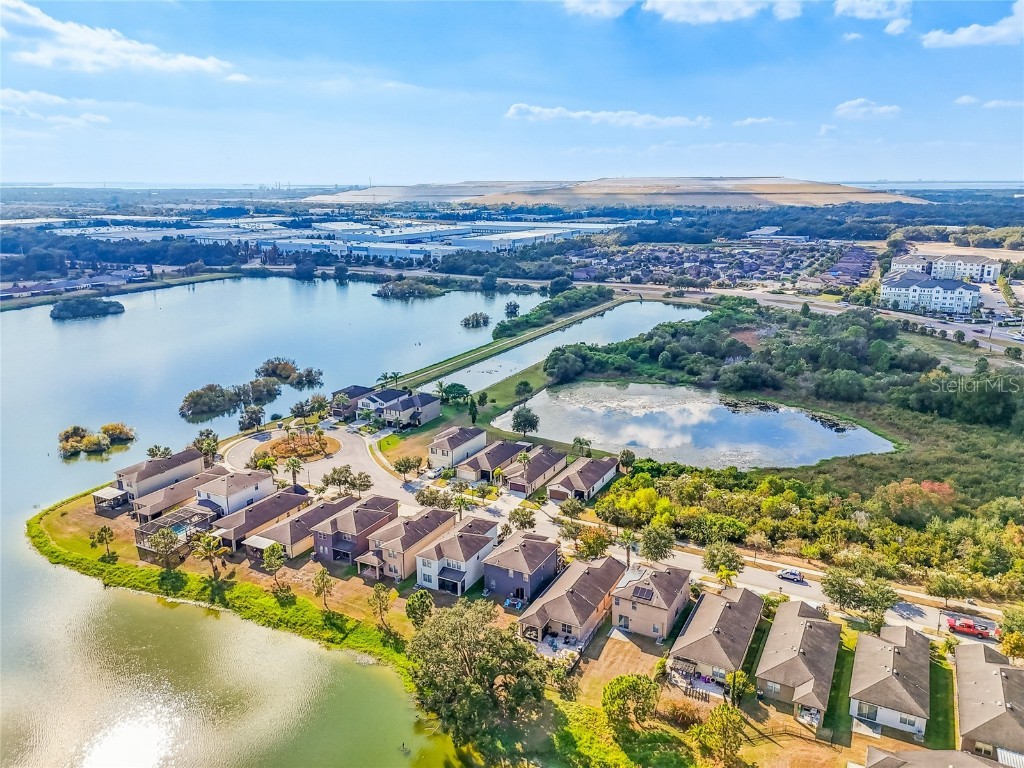 6014 Sweet Birch Drive Riverview FL 33578 TB8450116 image58