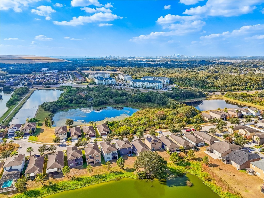 6014 Sweet Birch Drive Riverview FL 33578 TB8450116 image60