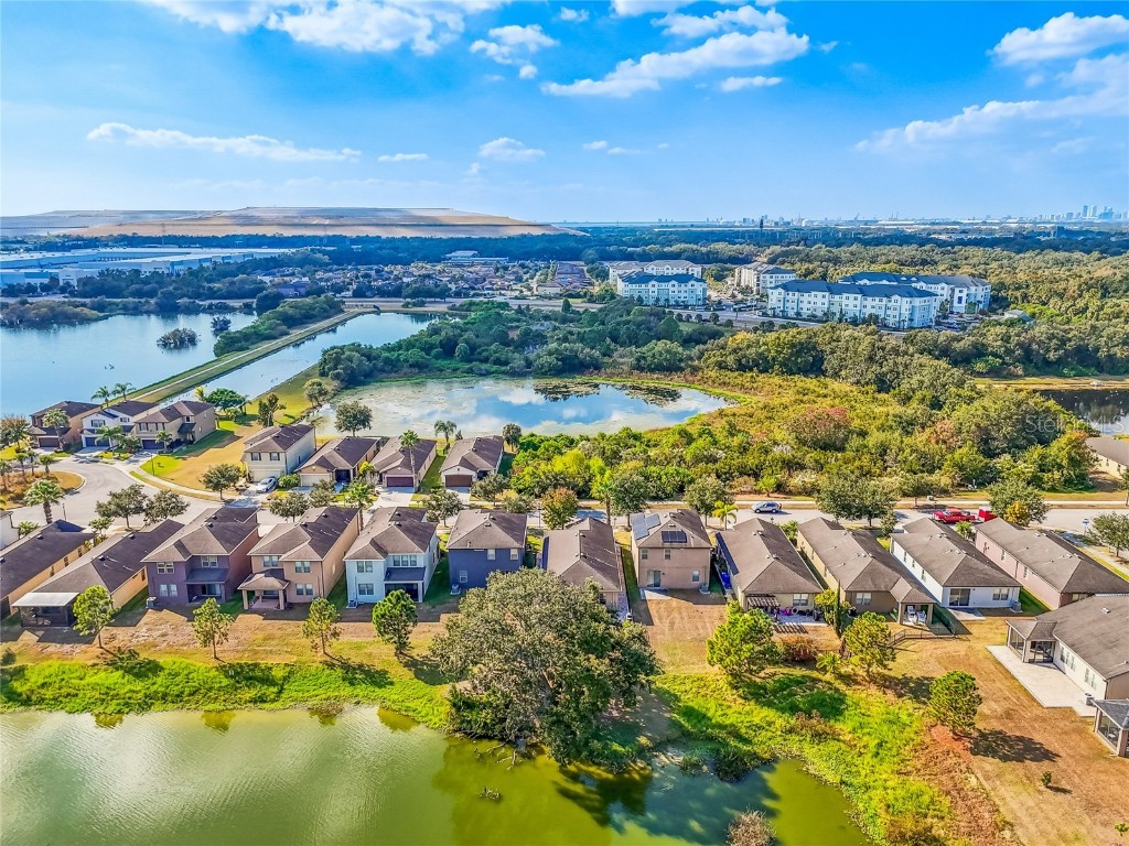 6014 Sweet Birch Drive Riverview FL 33578 TB8450116 image61