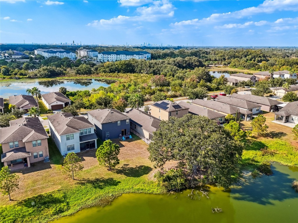 6014 Sweet Birch Drive Riverview FL 33578 TB8450116 image62