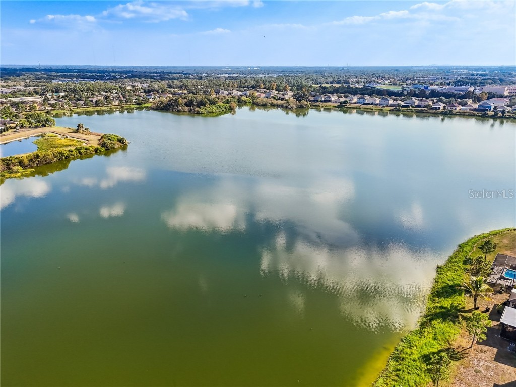 6014 Sweet Birch Drive Riverview FL 33578 TB8450116 image63