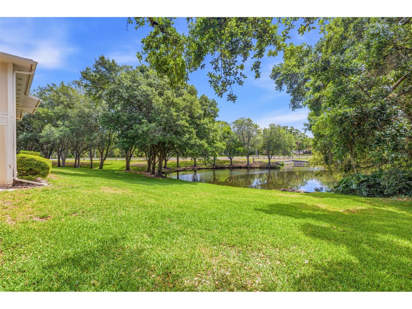6015 Laketree Lane #B Temple Terrace FL 33617 TB8495902 image23
