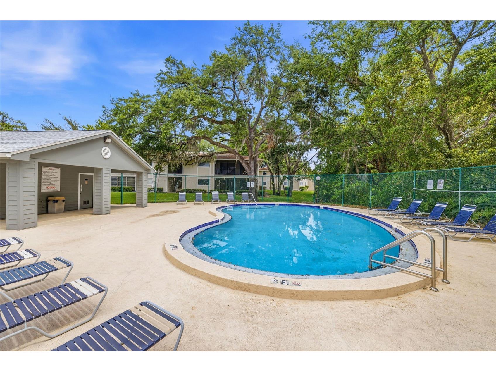 6015 Laketree Lane #B Temple Terrace FL 33617 TB8495902 image24