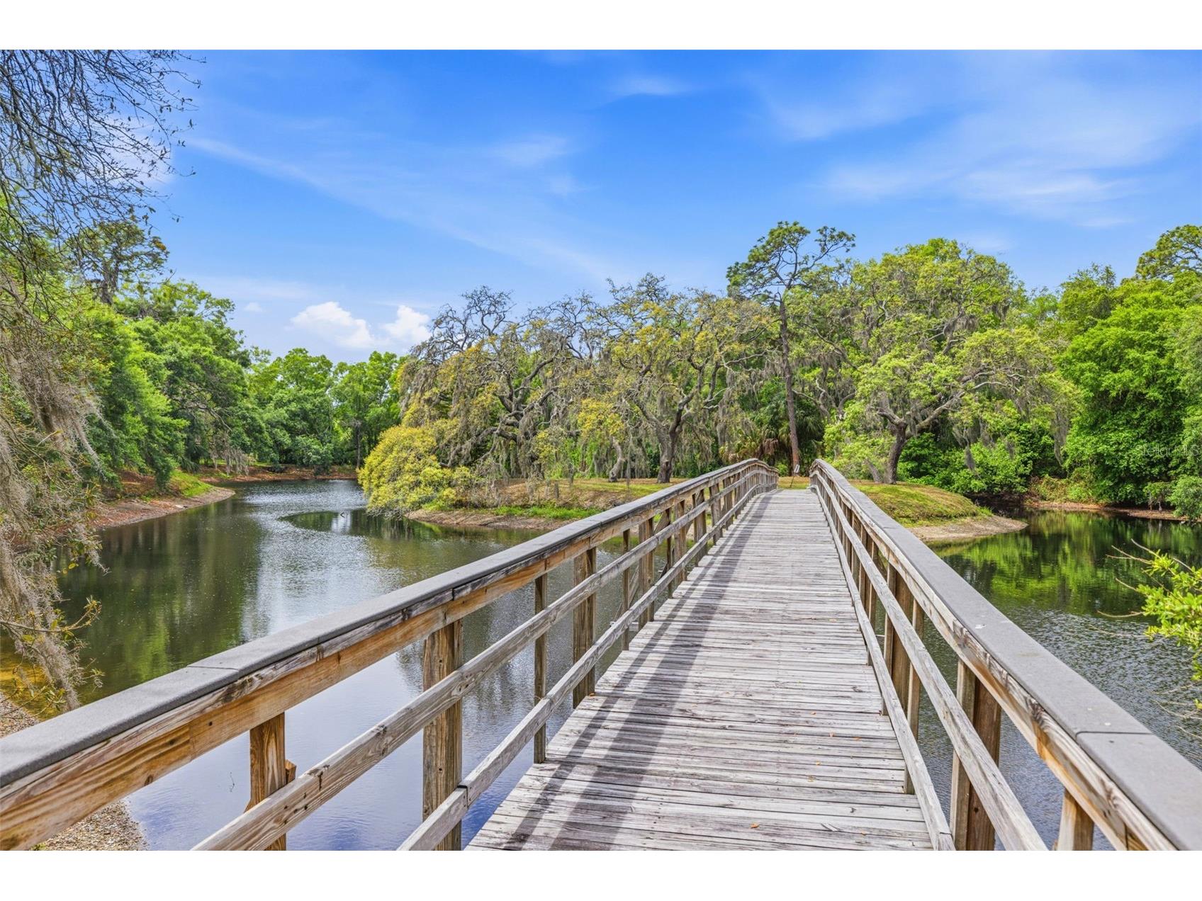 6015 Laketree Lane #B Temple Terrace FL 33617 TB8495902 image25