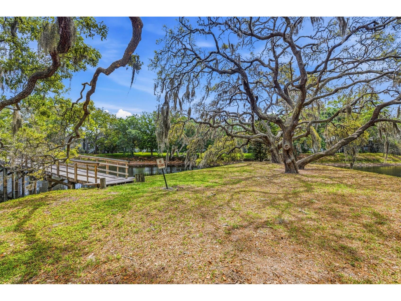 6015 Laketree Lane #B Temple Terrace FL 33617 TB8495902 image26