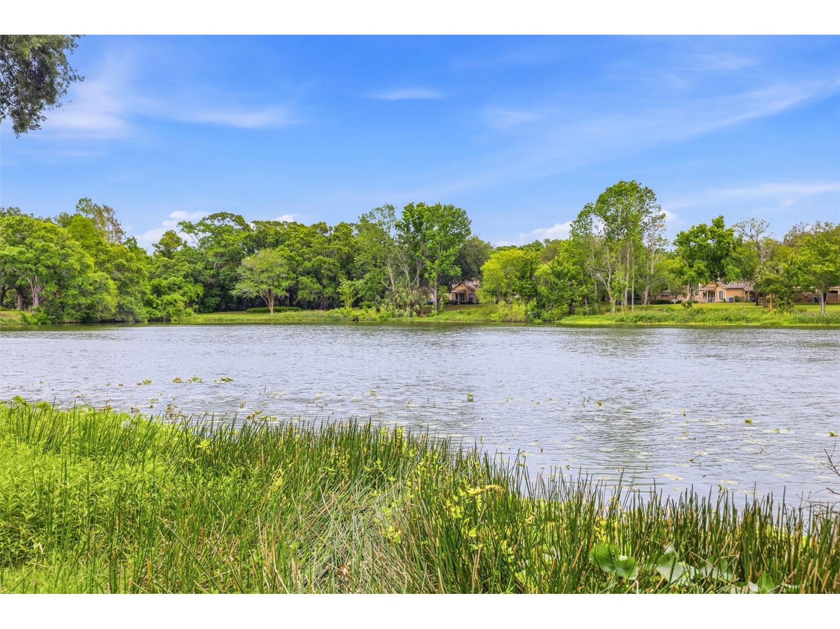 6015 Laketree Lane #B Temple Terrace FL 33617 TB8495902 image27