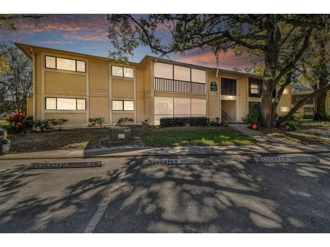 6015 Laketree Lane #C Temple Terrace FL 33617 TB8316906 image1