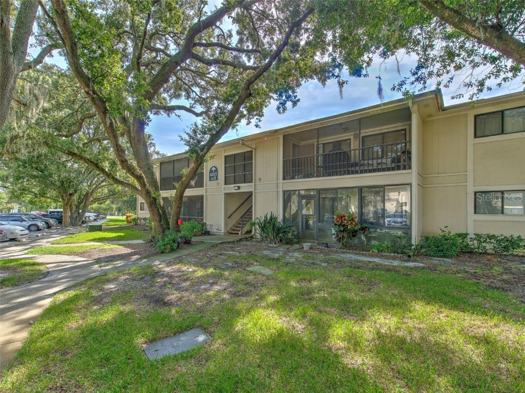 6015 Laketree Lane #H Temple Terrace FL 33617 T3475540 image1