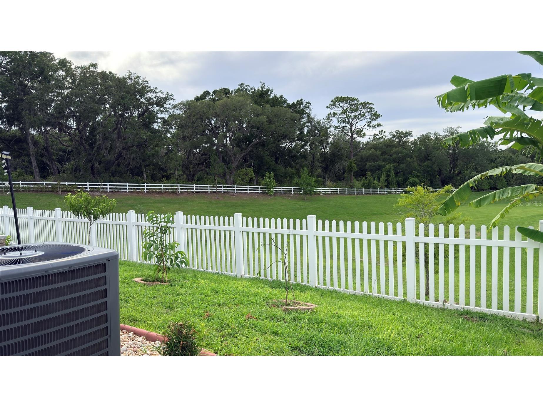 6015 Nightjar Court Okahumpka FL 34762 G5113384 image27