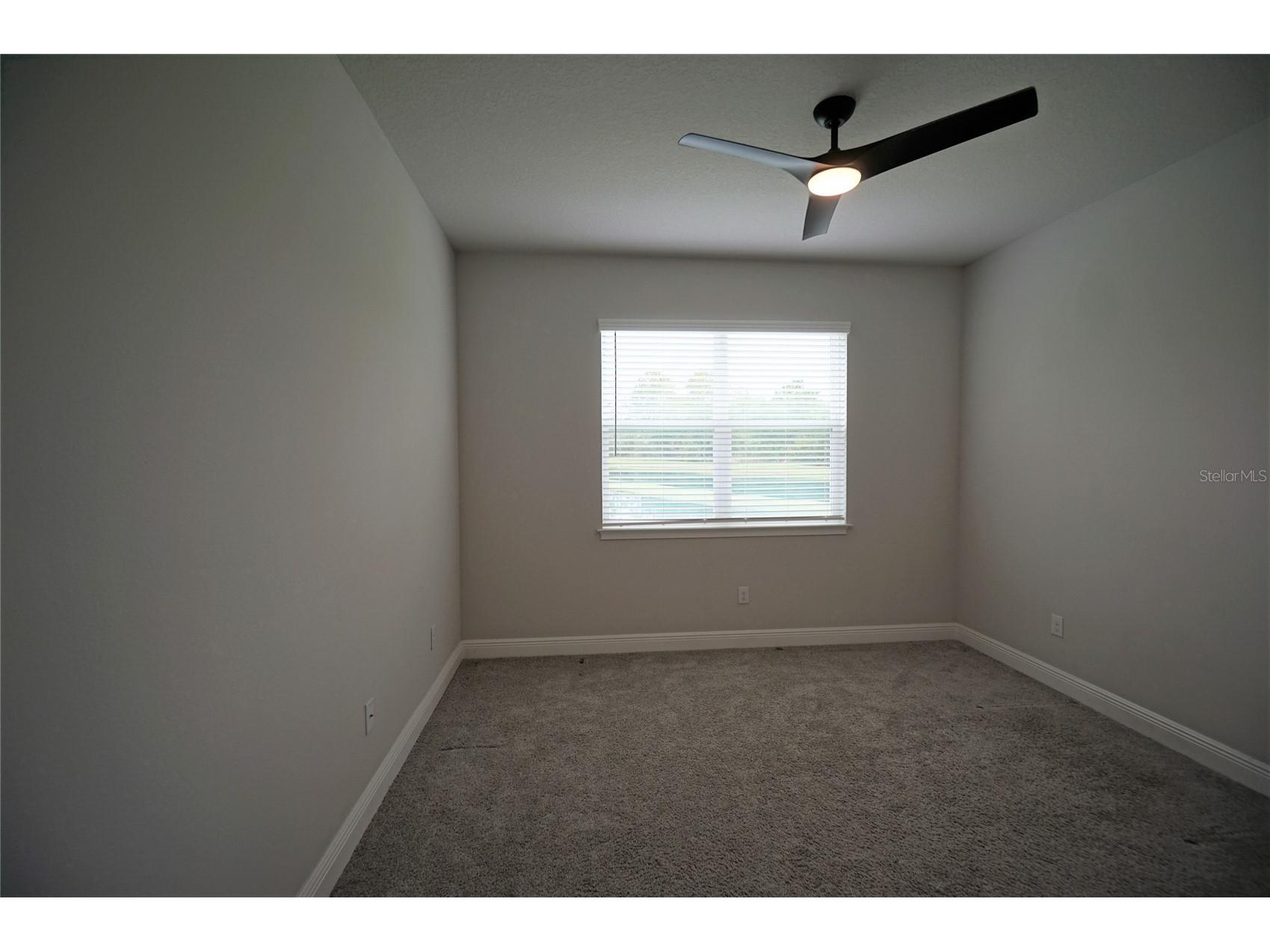 6016 Grand Sonata Avenue Lutz FL 33558 TB8500448 image26