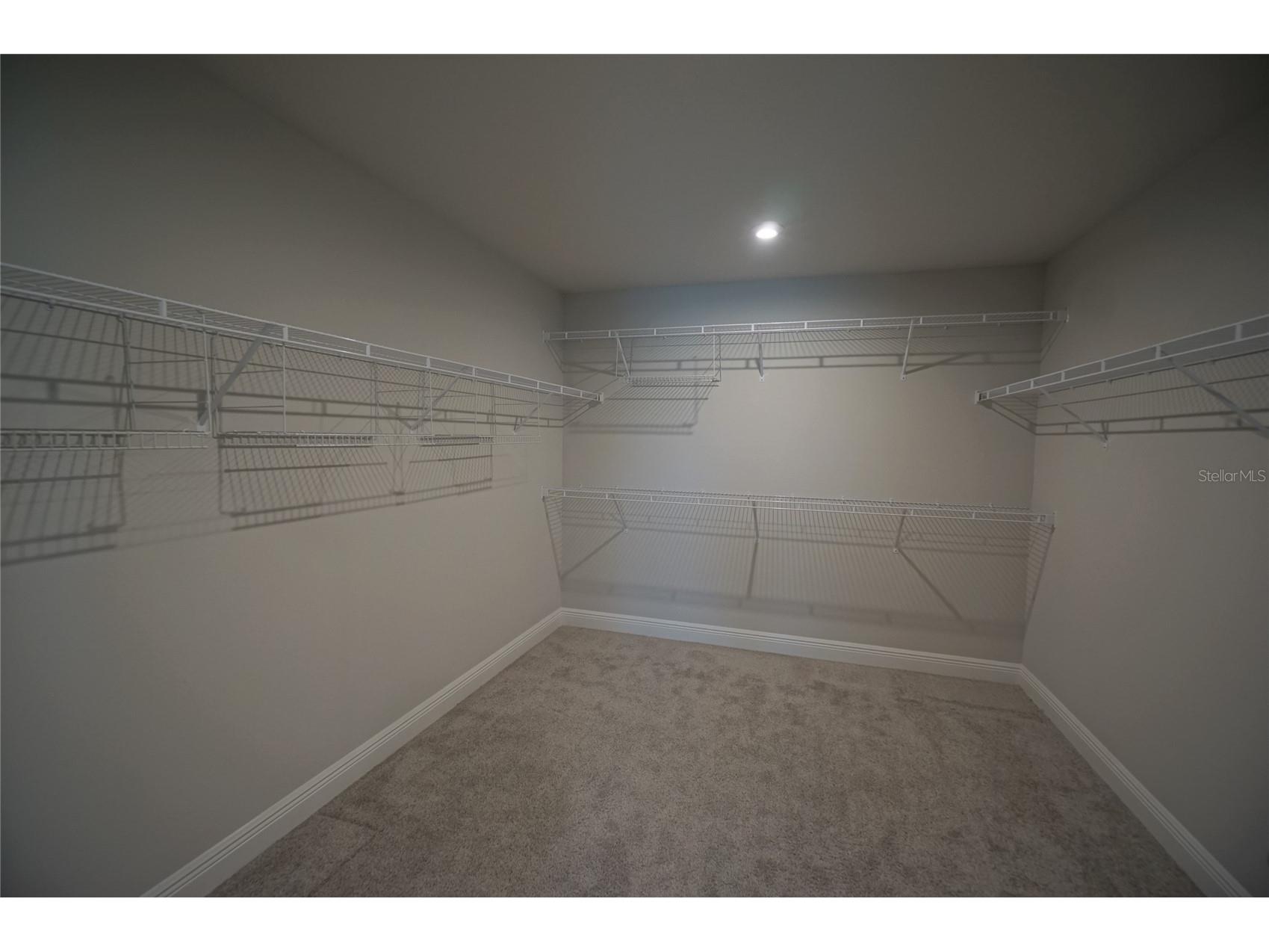 6016 Grand Sonata Avenue Lutz FL 33558 TB8500448 image33