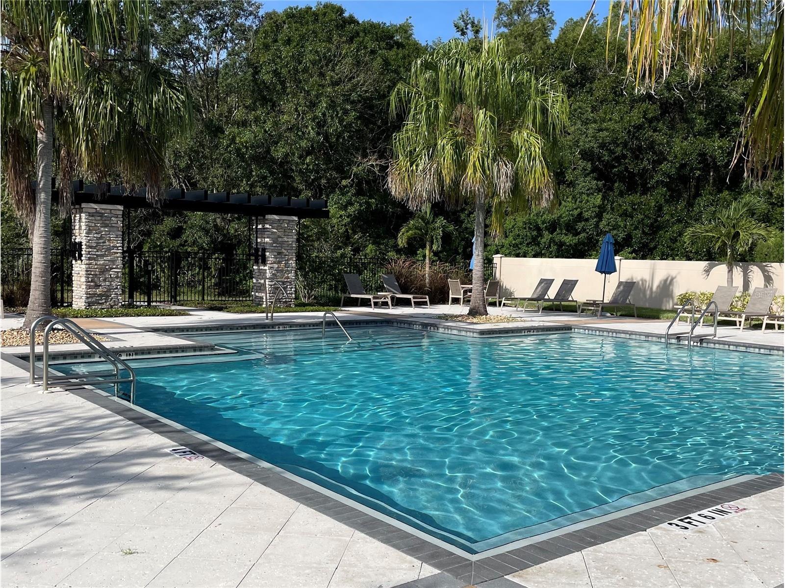 6016 Grand Sonata Avenue Lutz FL 33558 TB8500448 image42