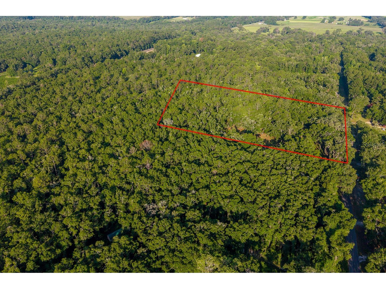 6016 SW 52nd Terrace Lake Butler FL 32054 GC541168 image10