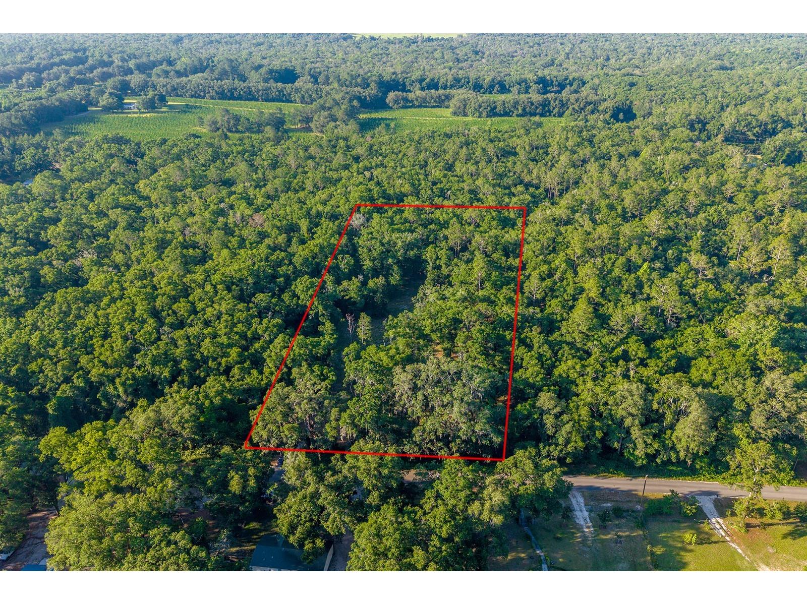 6016 SW 52nd Terrace Lake Butler FL 32054 GC541168 image2