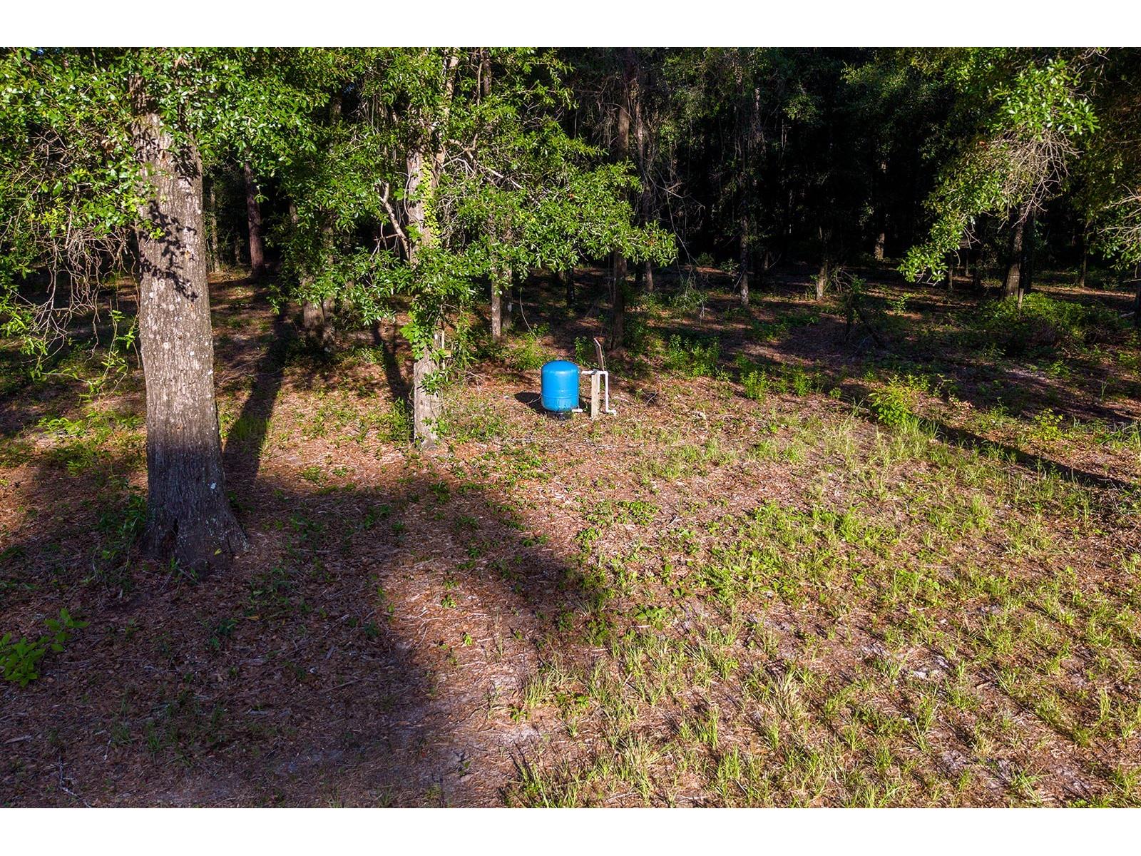 6016 SW 52nd Terrace Lake Butler FL 32054 GC541168 image3
