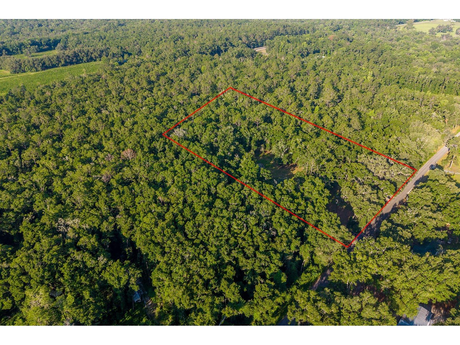 6016 SW 52nd Terrace Lake Butler FL 32054 GC541168 image9