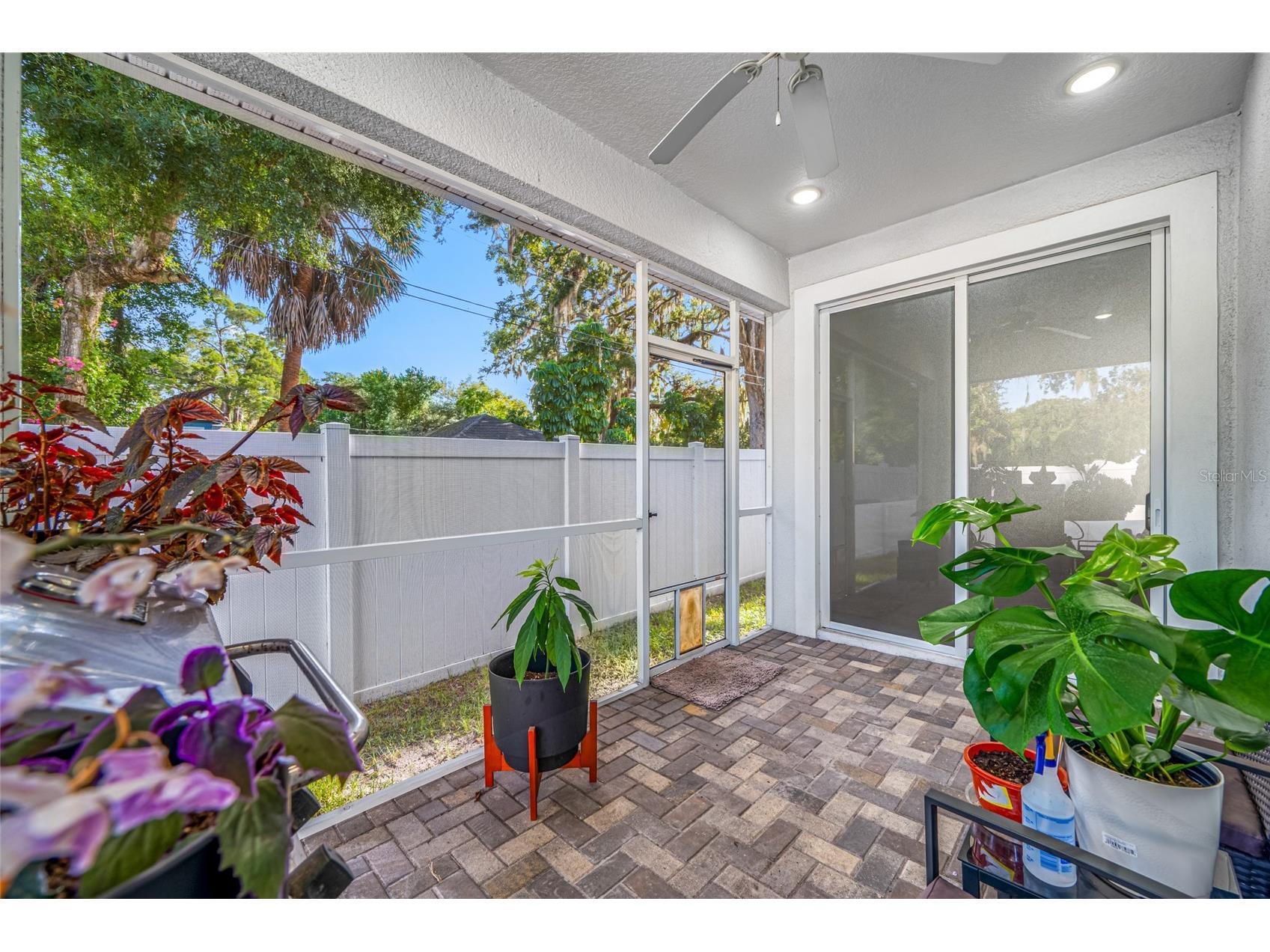 6017 Adams Street New Port Richey FL 34652 W7887575 image34