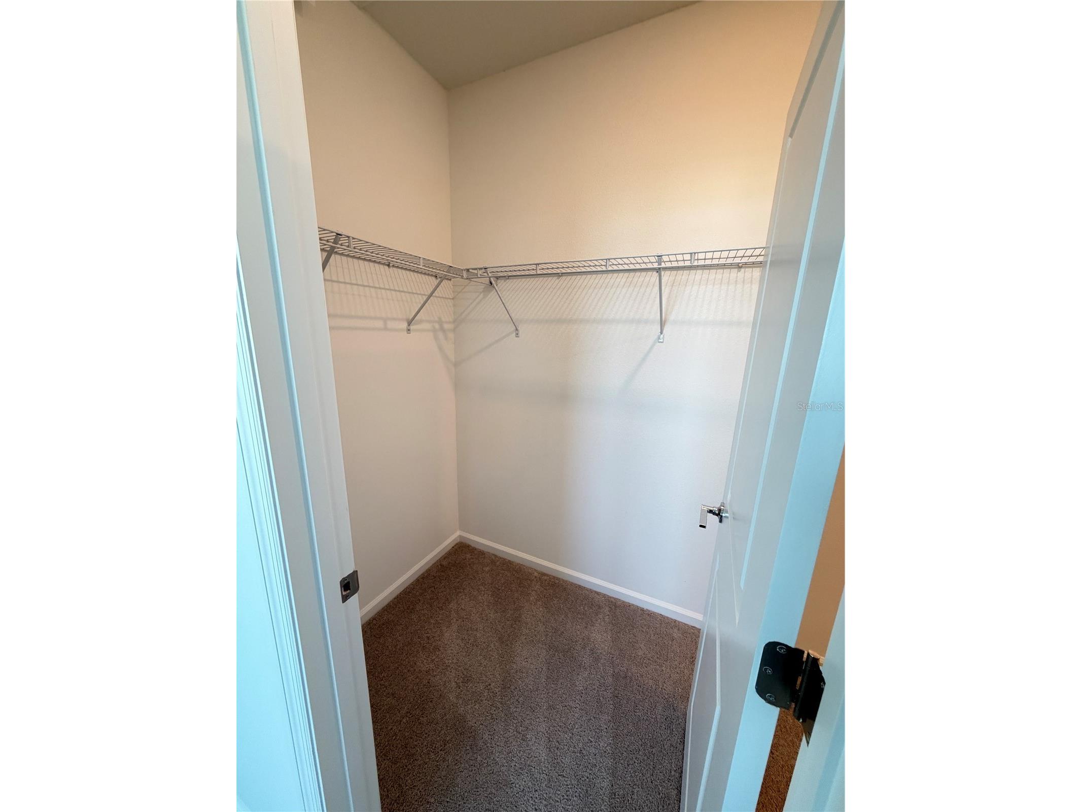 6017 Wellbeing Way Clermont FL 34714 S5153411 image33