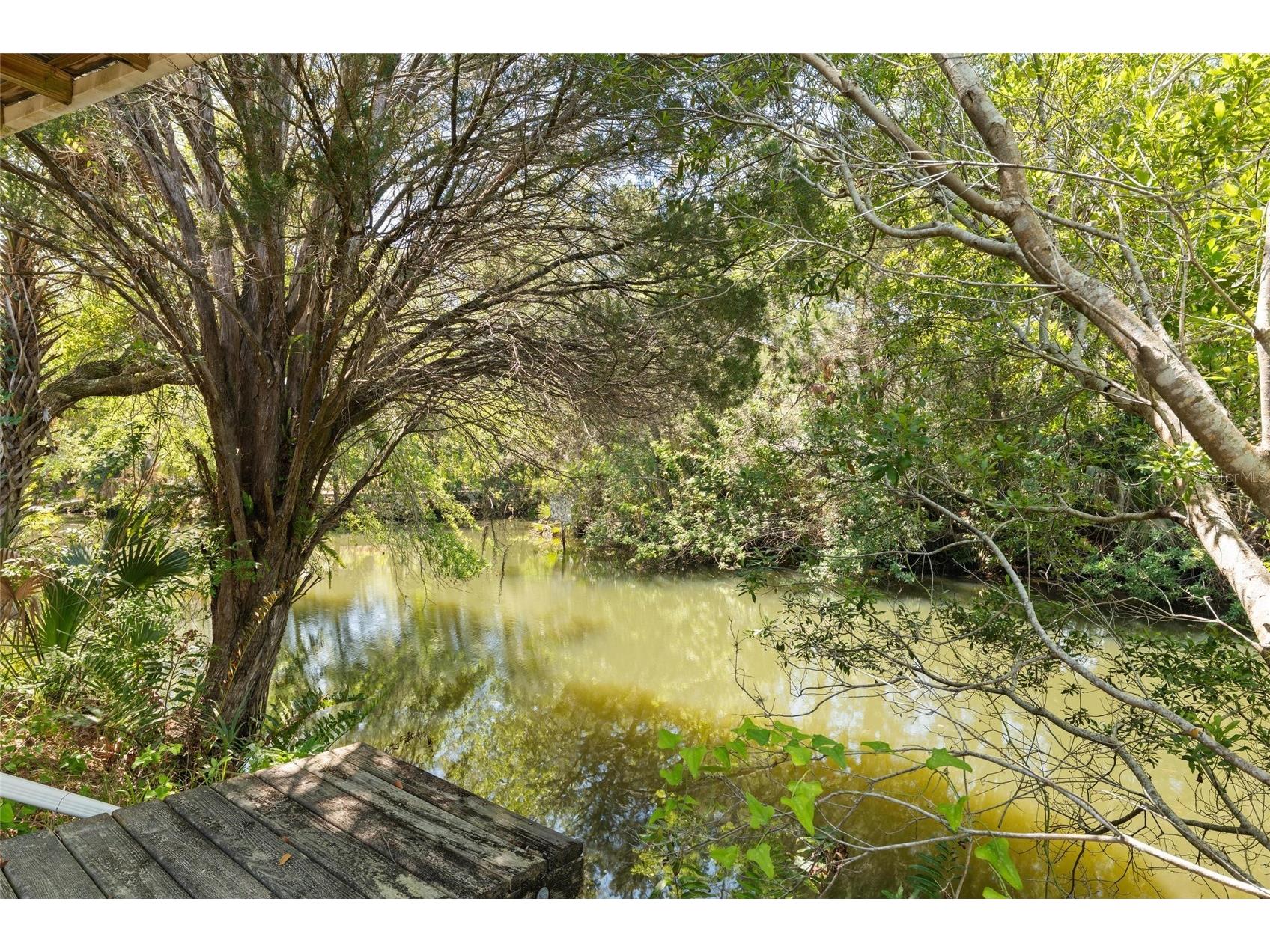 6018 & 6024 Cortez Boulevard Weeki Wachee FL 34607 TB8510263 image13
