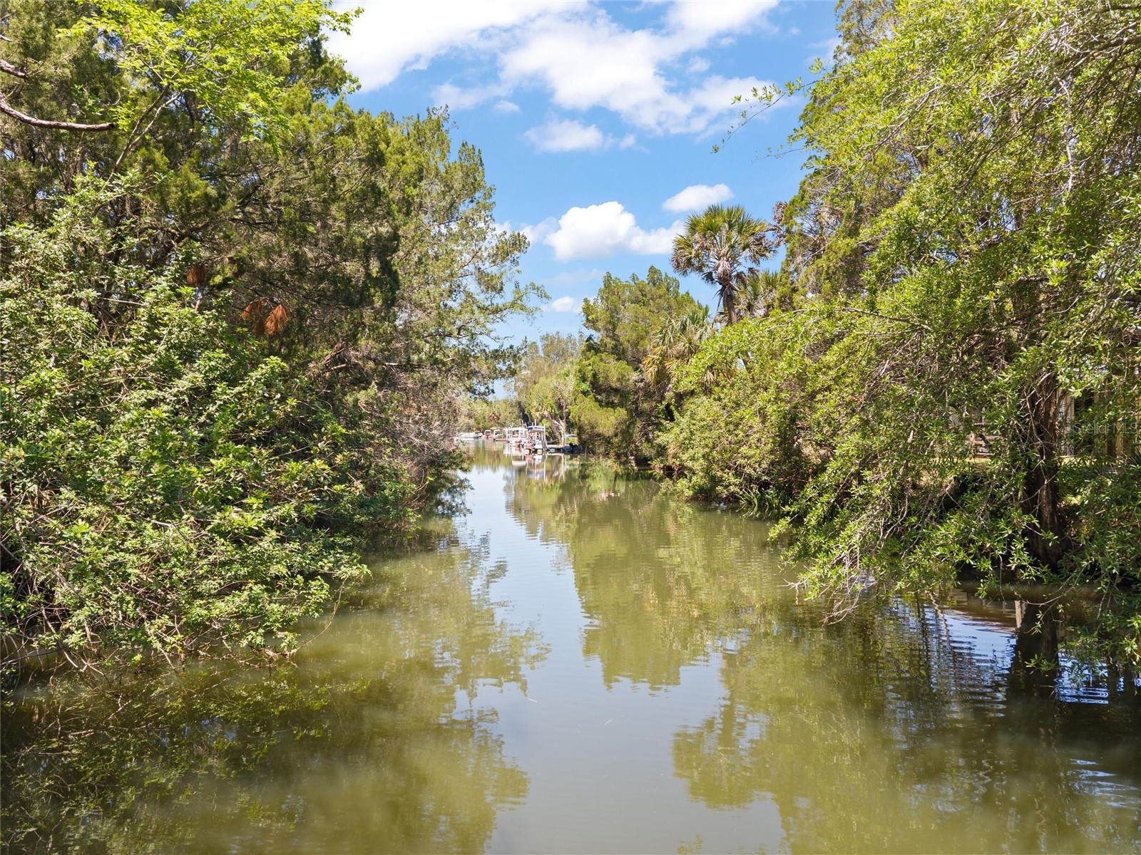 6018 & 6024 Cortez Boulevard Weeki Wachee FL 34607 TB8510263 image14