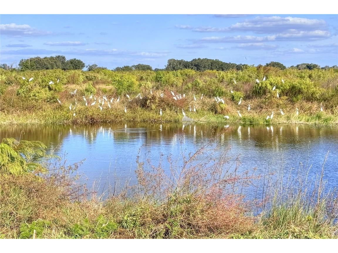 6018 NW County Road 661a Arcadia FL 34266 TB8450217 image46