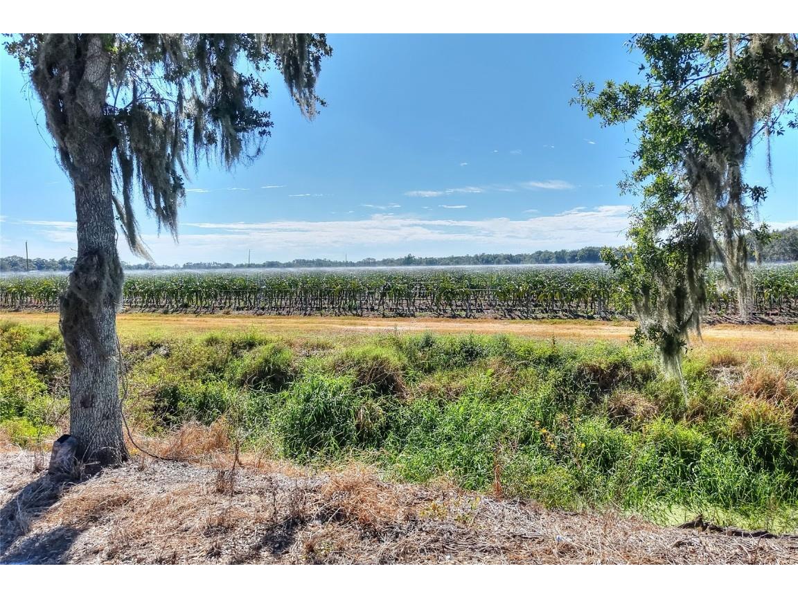 6018 NW County Road 661a Arcadia FL 34266 TB8450217 image58