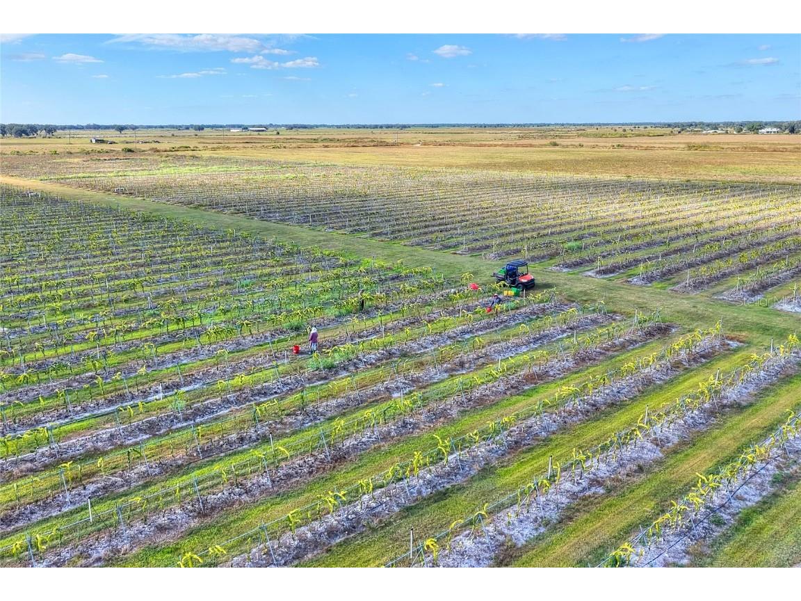 6018 NW County Road 661a Arcadia FL 34266 TB8450217 image59