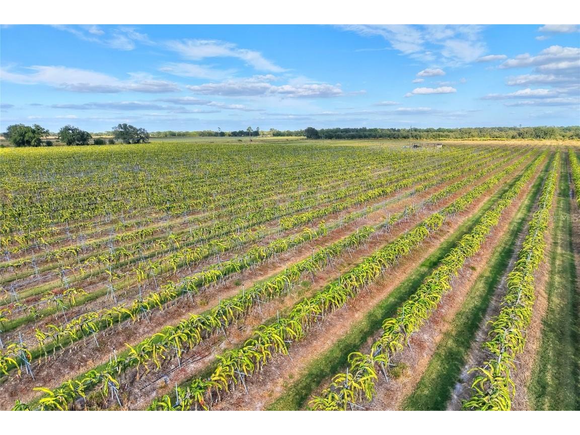 6018 NW County Road 661a Arcadia FL 34266 TB8450217 image60