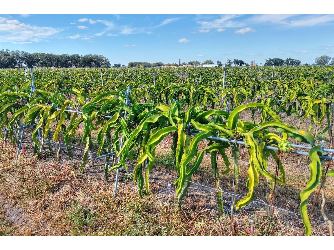 6018 NW County Road 661a Arcadia FL 34266 TB8450217 image61