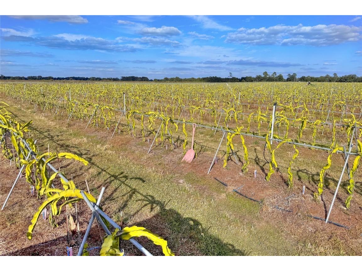 6018 NW County Road 661a Arcadia FL 34266 TB8450217 image62