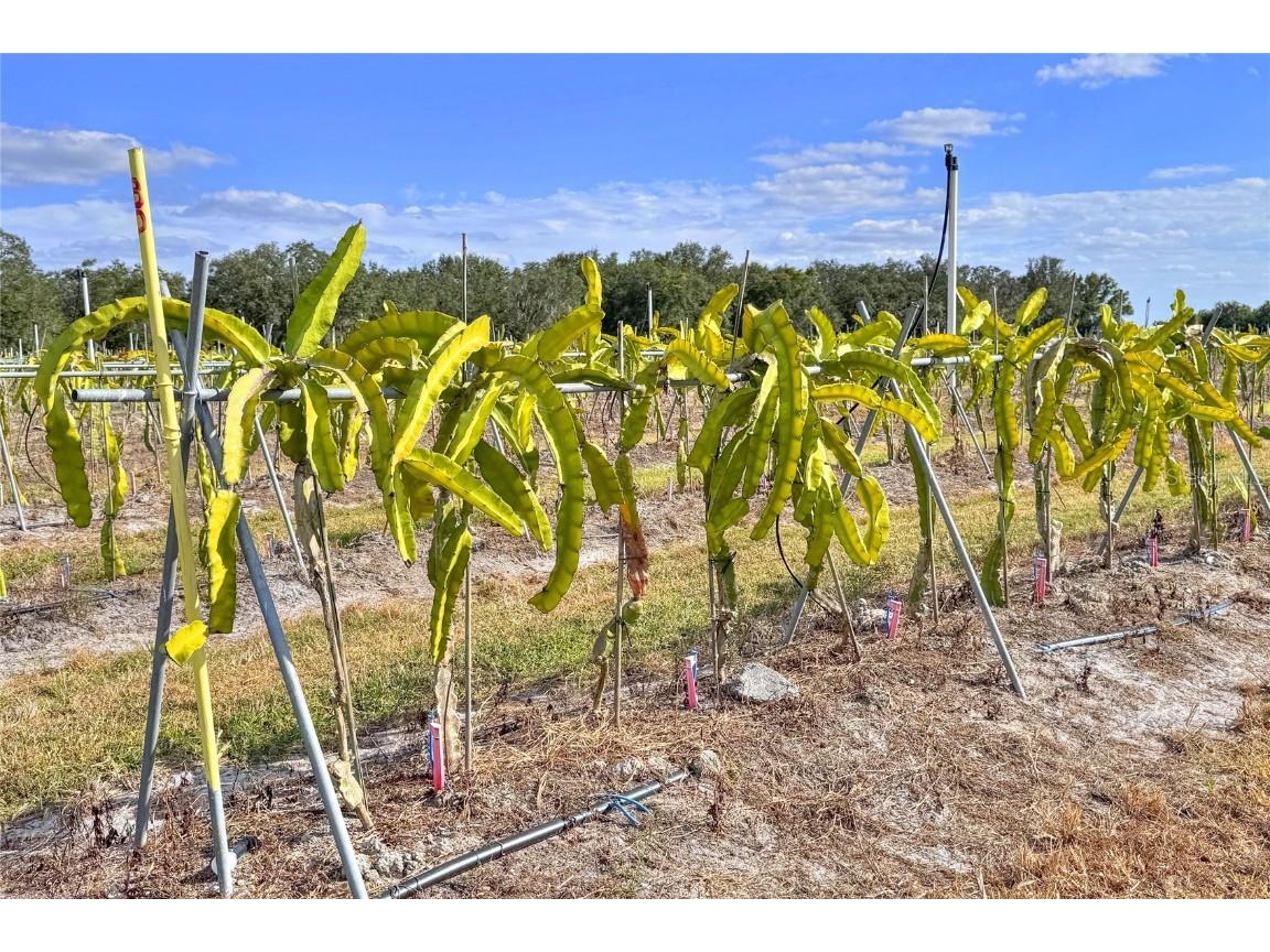 6018 NW County Road 661a Arcadia FL 34266 TB8450217 image63