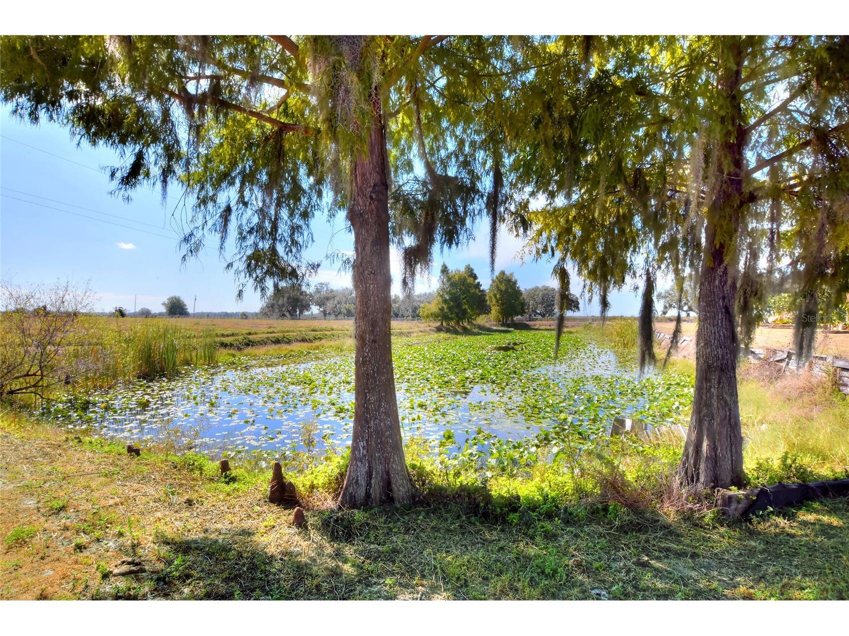 6018 NW County Road 661a Arcadia FL 34266 TB8463525 image71