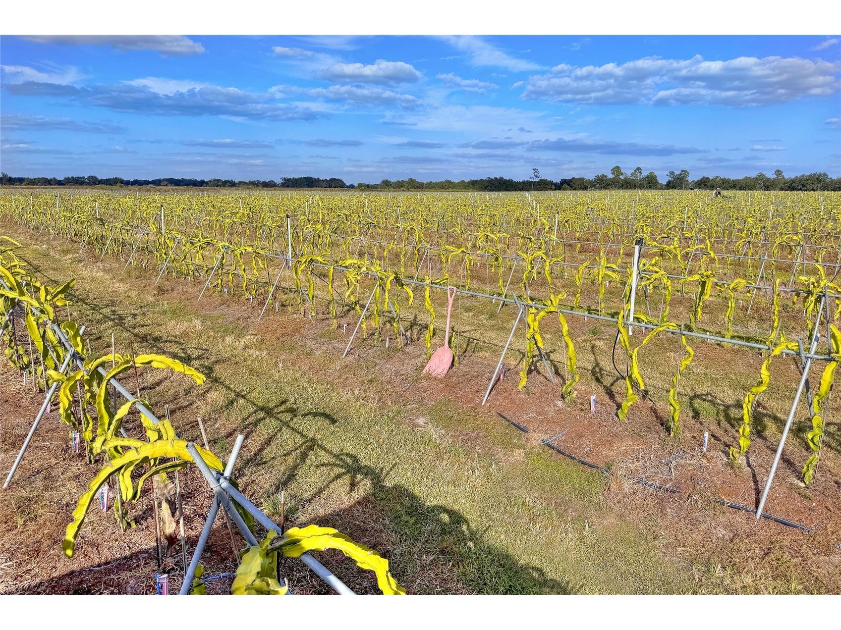 6018 NW County Road 661a Arcadia FL 34266 TB8463525 image95