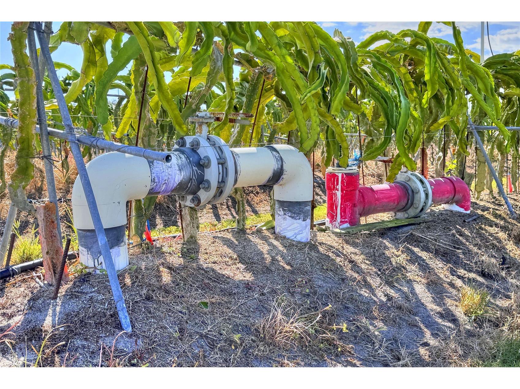 6018 NW County Road 661a Arcadia FL 34266 TB8463525 image98