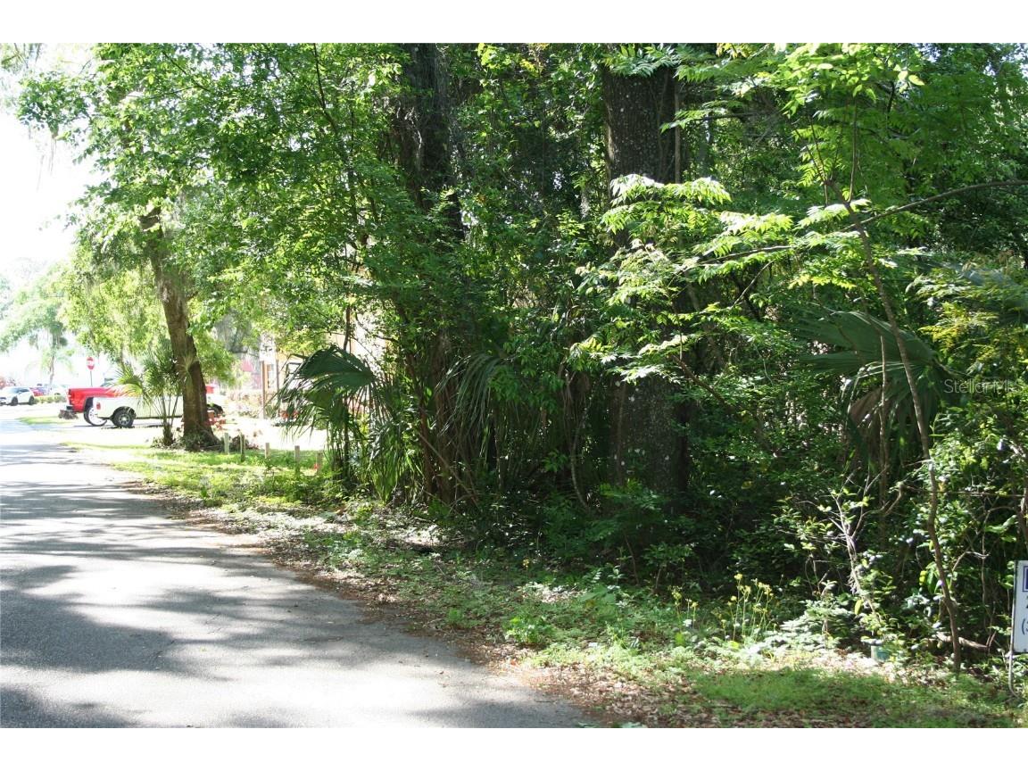 6018 SE Cedar Road Belleview FL 34420 OM675599 image1