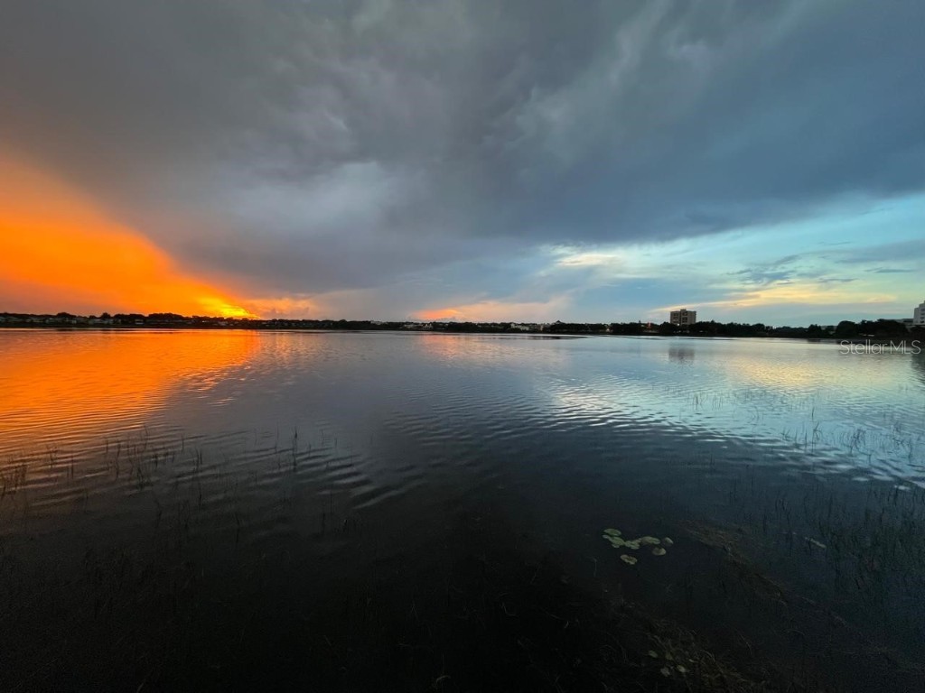 6019 Bimini Twist Loop Orlando FL 32819 - Little Sand Lake O6356700 image22