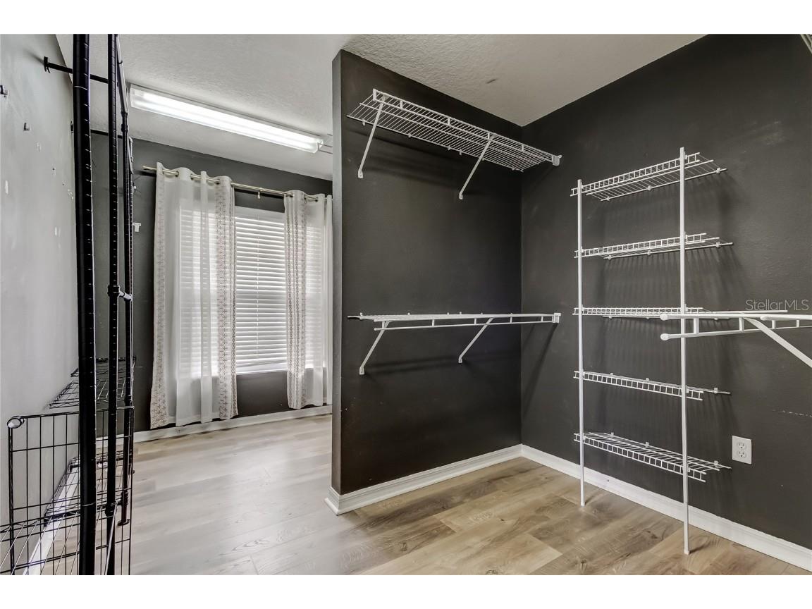 6019 Cape Loop Land O Lakes FL 34639 TB8451092 image22