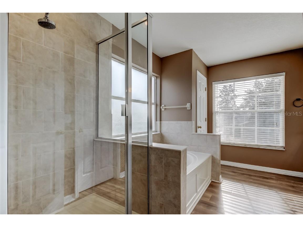 6019 Cape Loop Land O Lakes FL 34639 TB8451092 image4