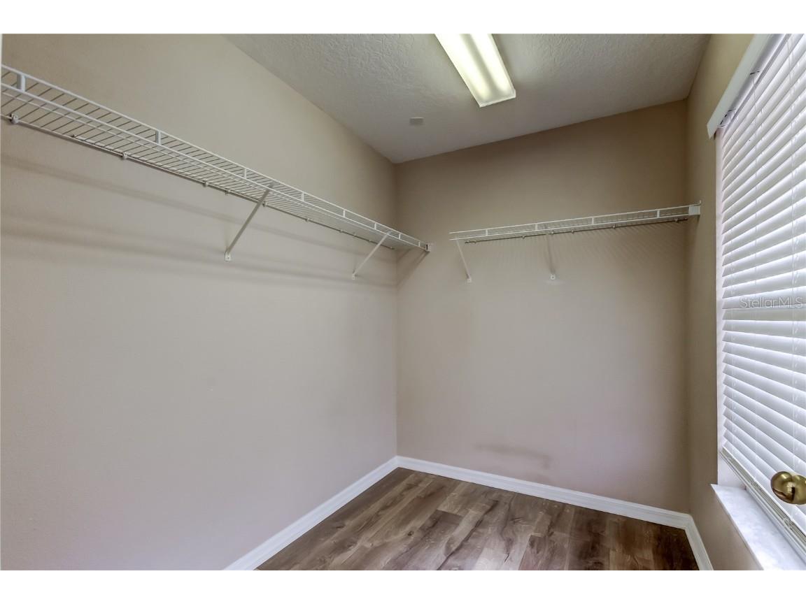 6019 Cape Loop Land O Lakes FL 34639 TB8451092 image41