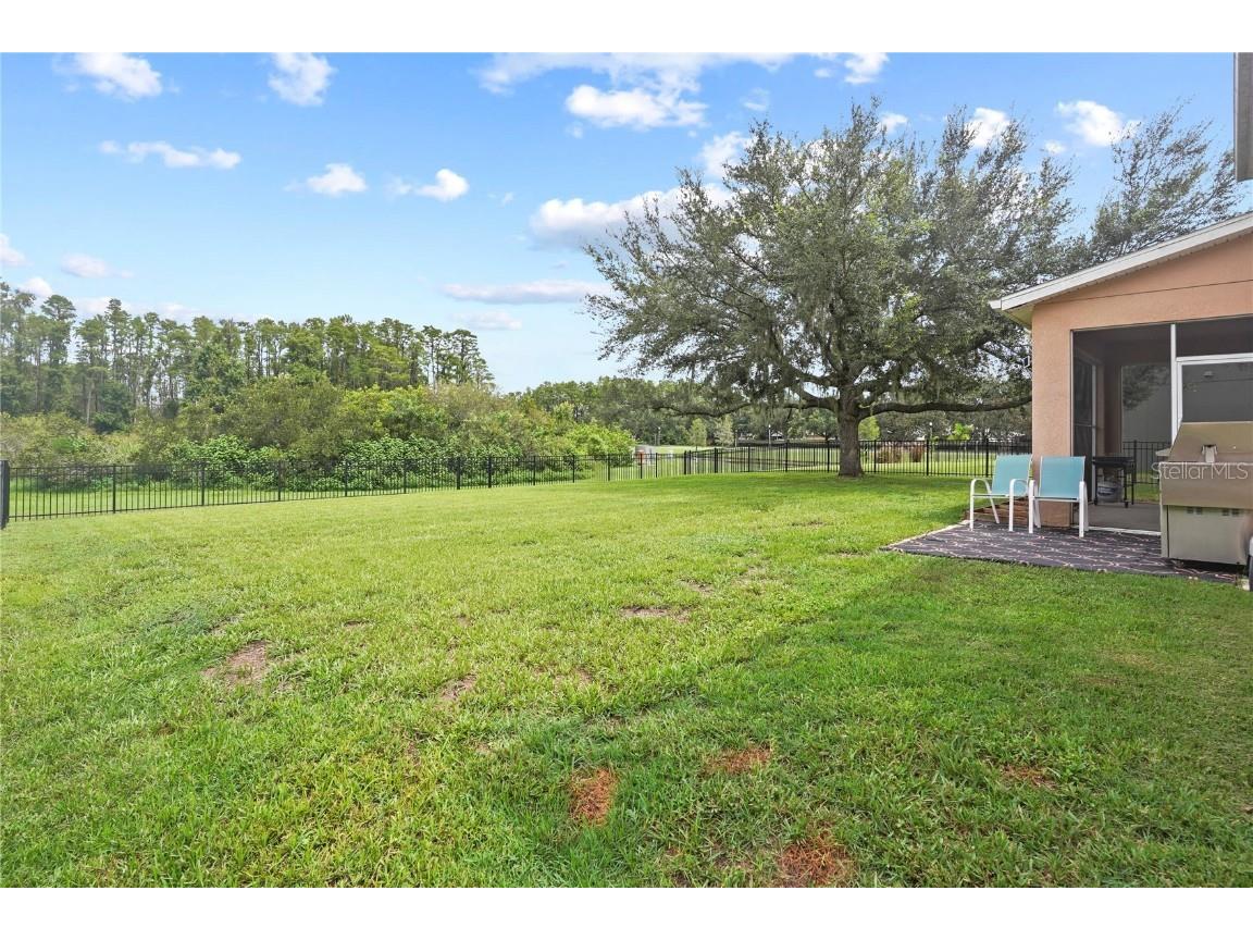 6019 Cape Loop Land O Lakes FL 34639 TB8451092 image45