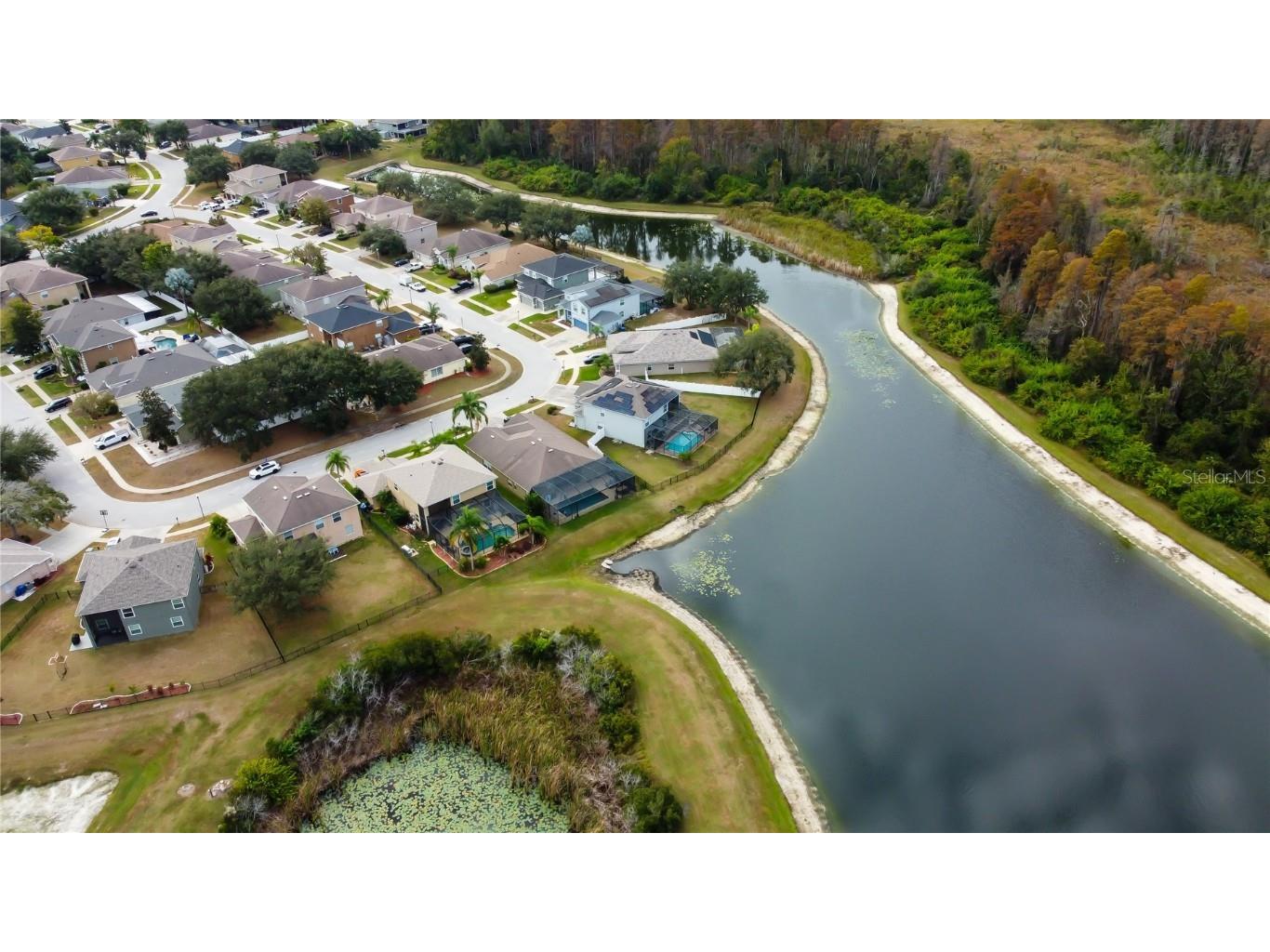 6019 Cape Loop Land O Lakes FL 34639 TB8451092 image52