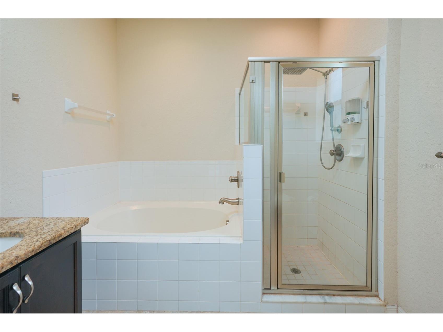 6019 Evansbrook Drive Zephyrhills FL 33541 TB8518559 image17
