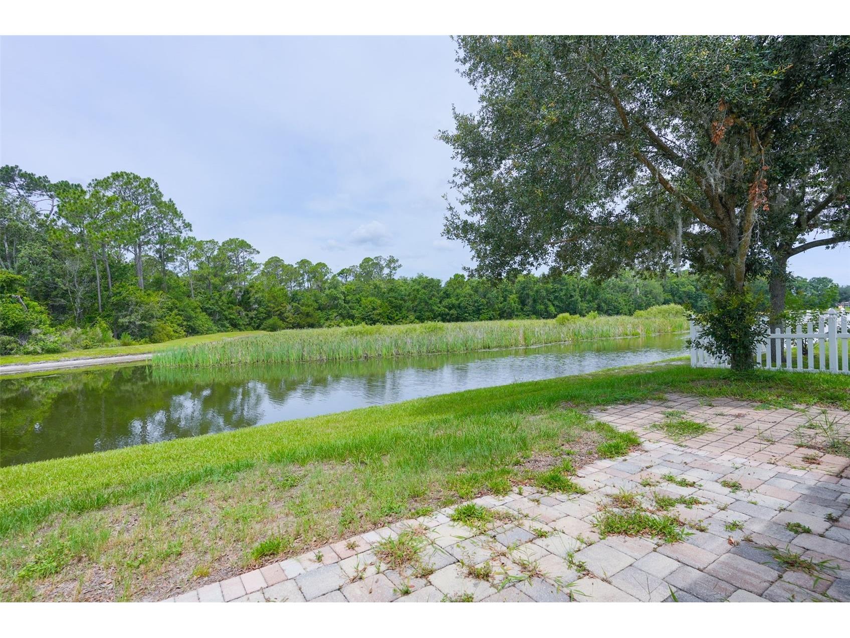 6019 Evansbrook Drive Zephyrhills FL 33541 TB8518559 image32