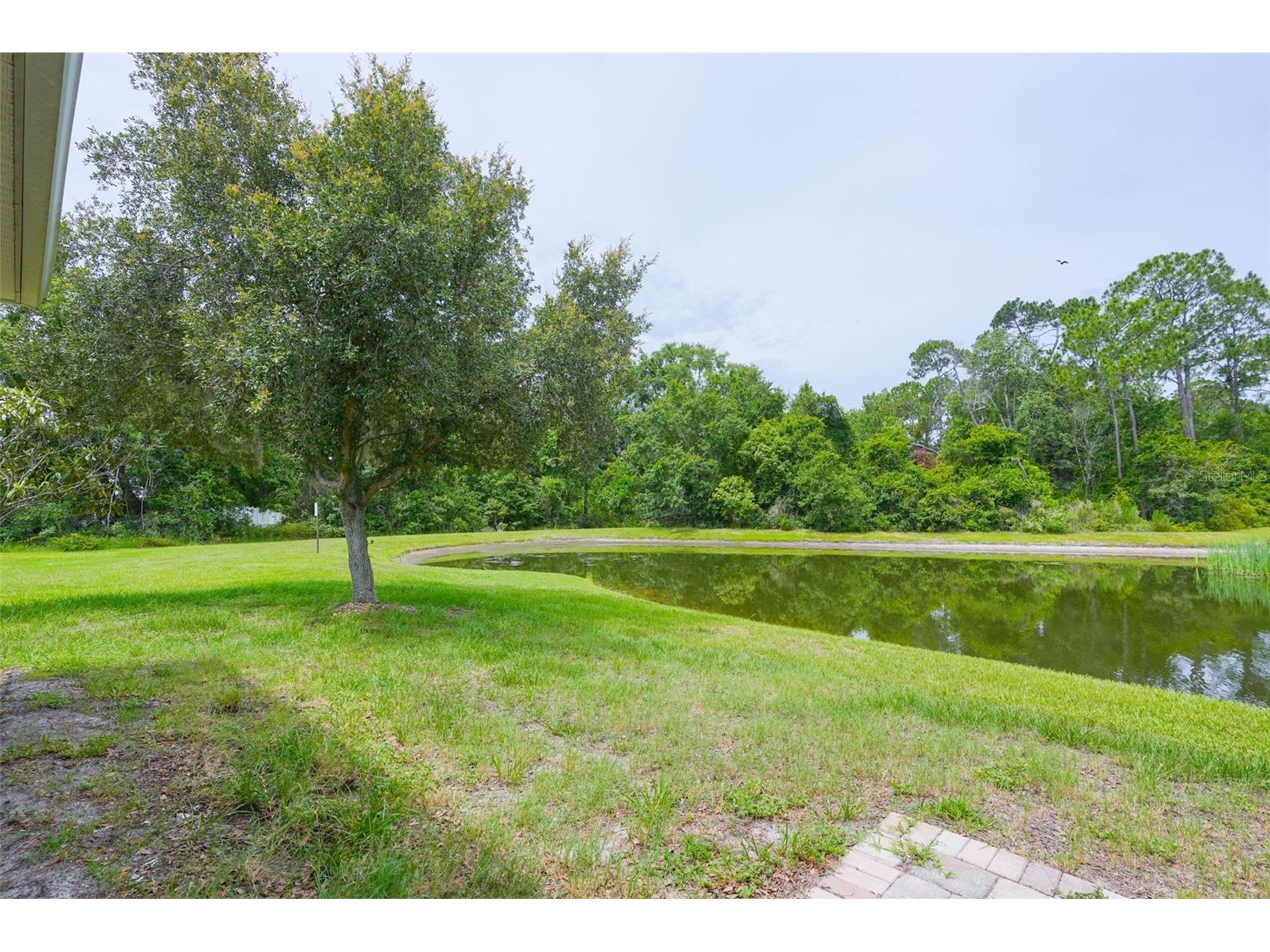 6019 Evansbrook Drive Zephyrhills FL 33541 TB8518559 image4