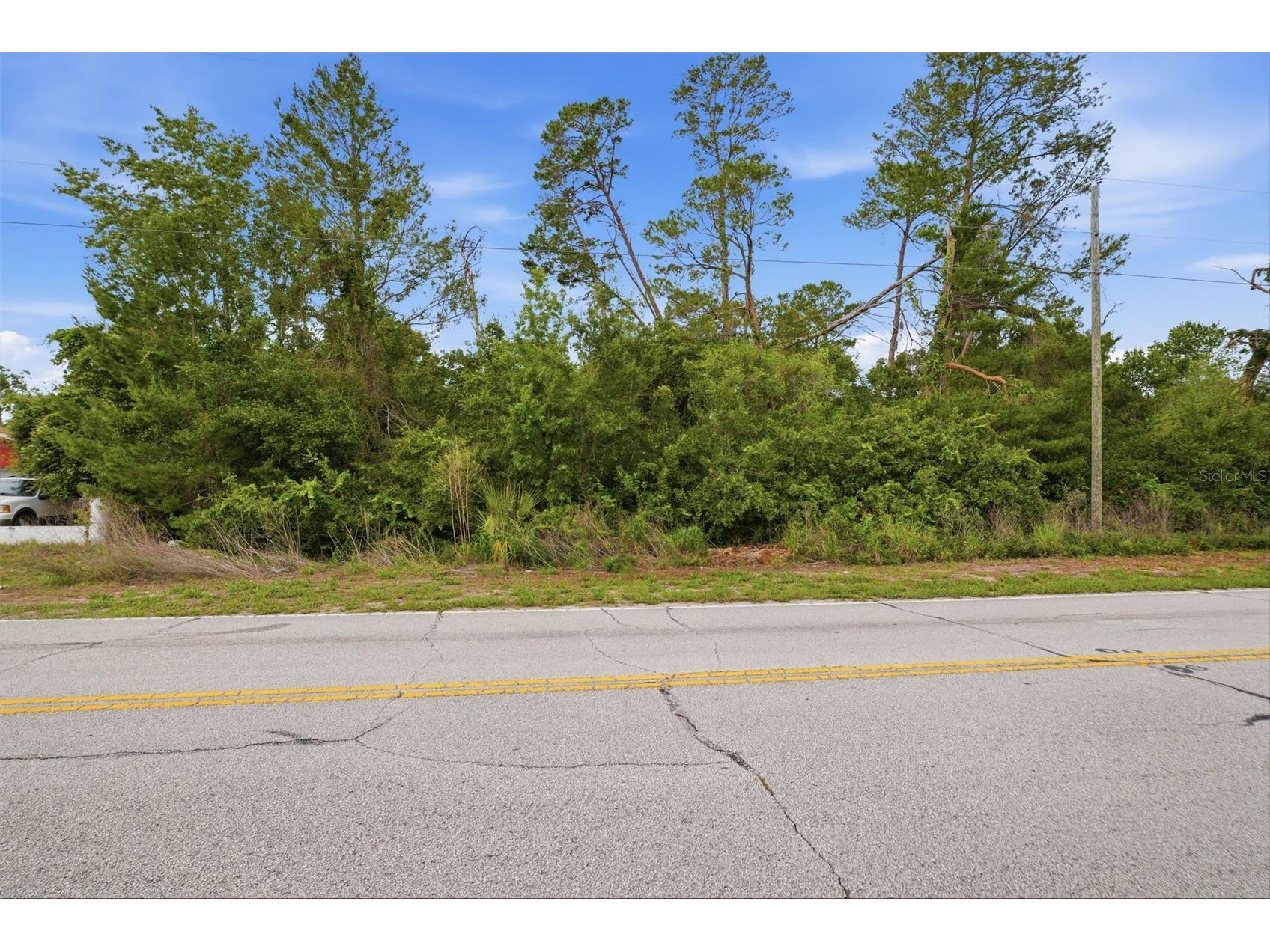 6019 Freeport Drive Spring Hill FL 34606 TB8511920 image12