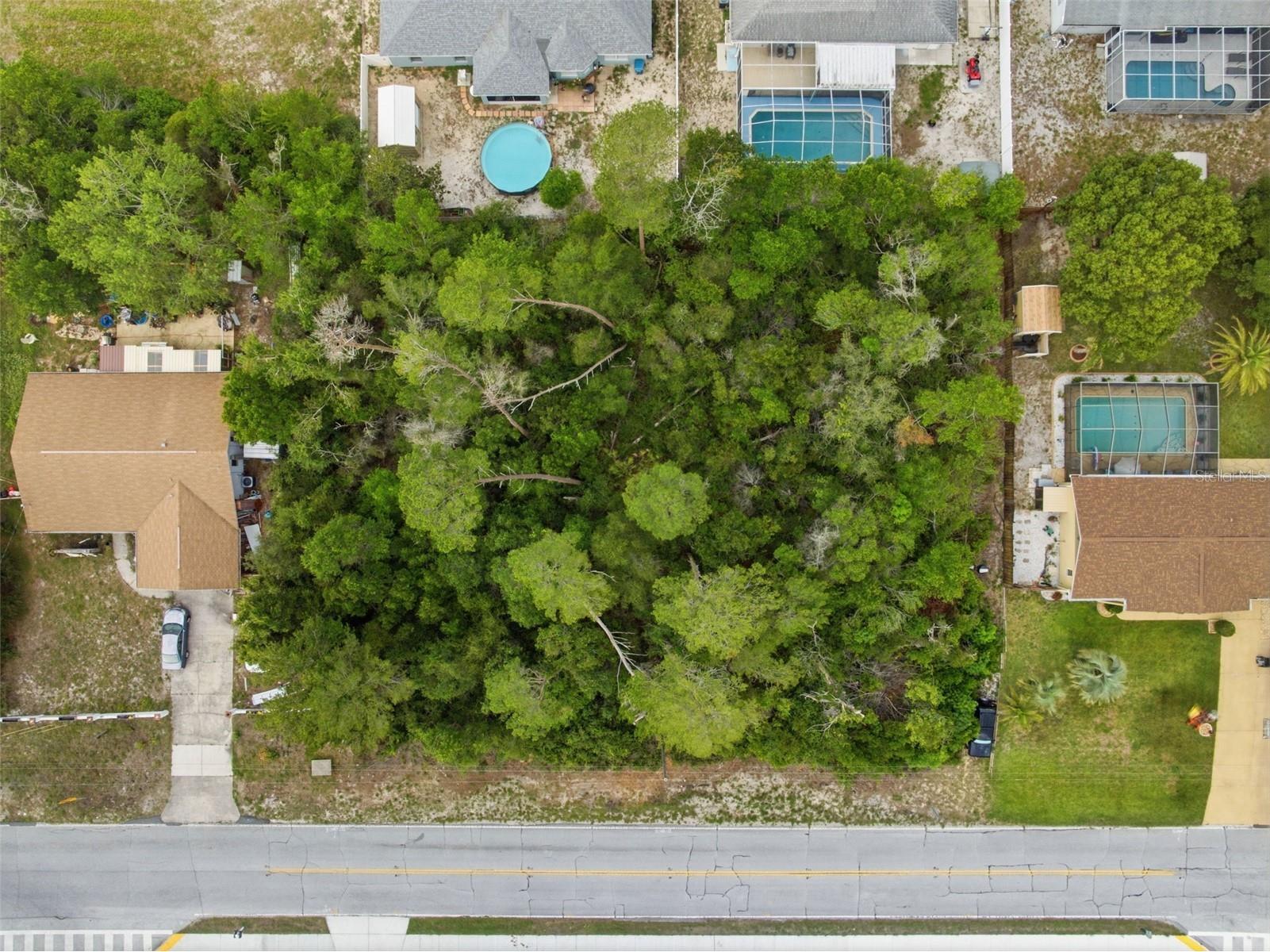 6019 Freeport Drive Spring Hill FL 34606 TB8511920 image15