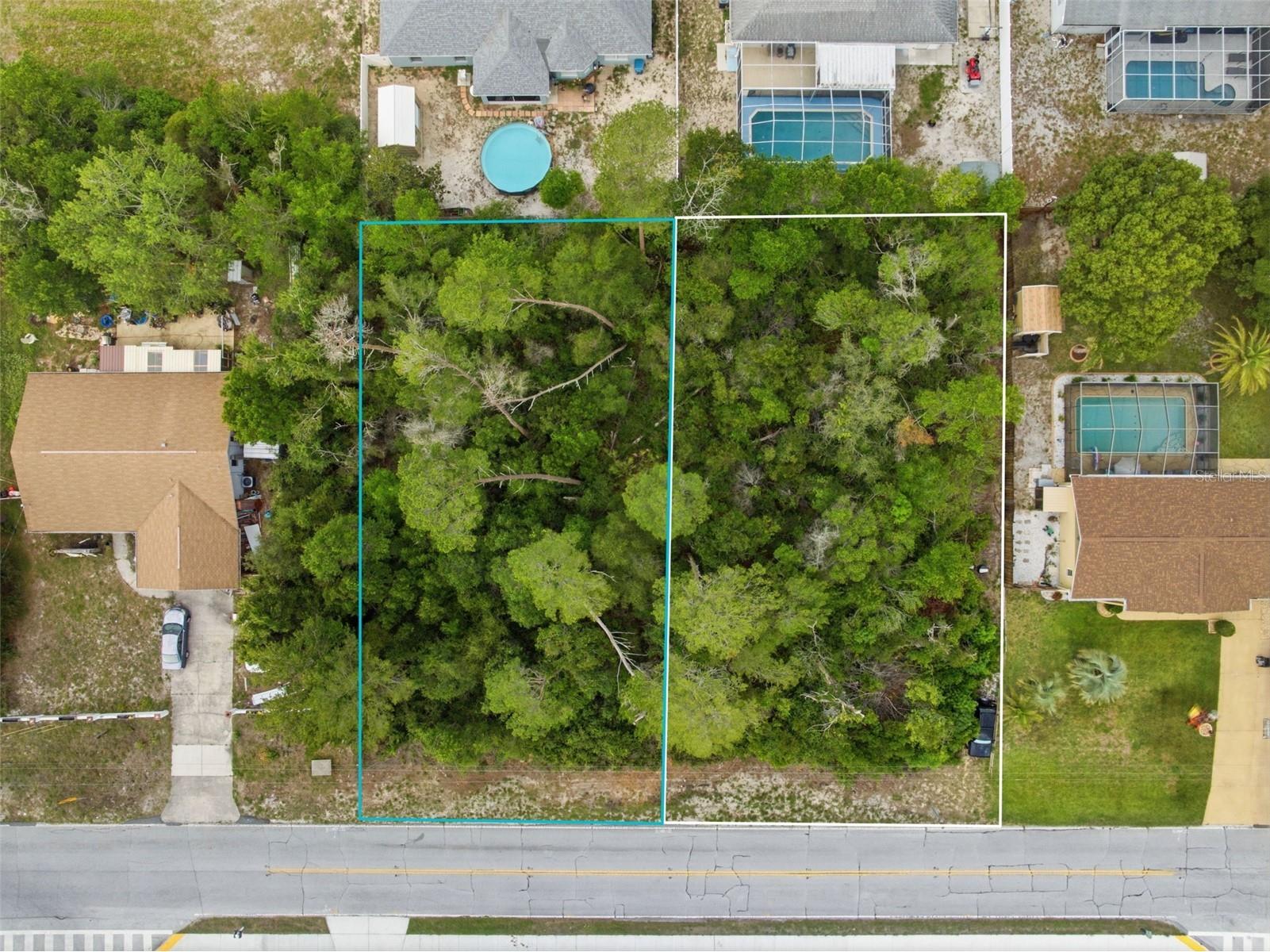 6019 Freeport Drive Spring Hill FL 34606 TB8511920 image4